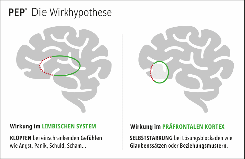 Eine Grafik, die zeigt, wie die PEP-Methode im Gehirn wirkt.
