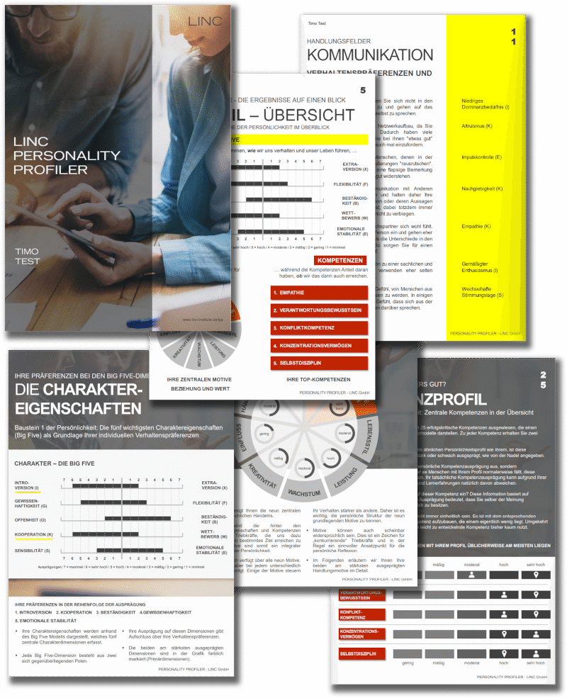 Eine zweite Übersicht des LINC Personality Profilers.