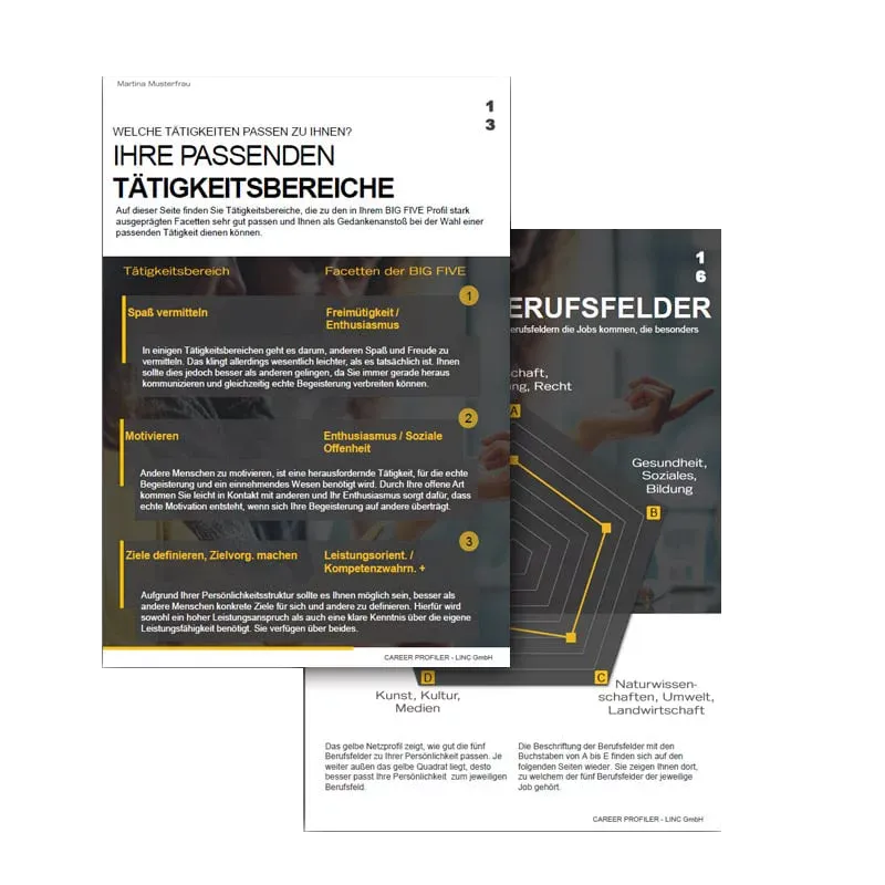 Eine zweite Übersicht des LINC Personality Profilers.